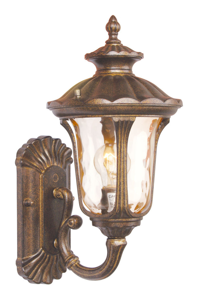 Livex Oxford 1 Light MG Outdoor Wall Lantern - C185-7650-50