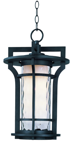 Oakville EE 1-Light Outdoor Hanging Lantern Black Oxide - C157-85788WGBO